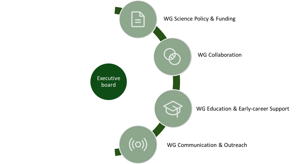 structure of the BPSC